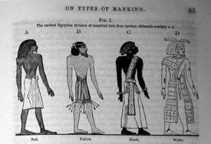 The four races of Egypt