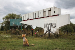 A tame fox poses in front of the sign pointing the way to Pripyat from the Chernobyl Nuclear Power Plant. (© Darmon Richter / FUEL Publishing)