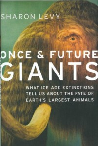 Once & Future Giants by Sharon Levy